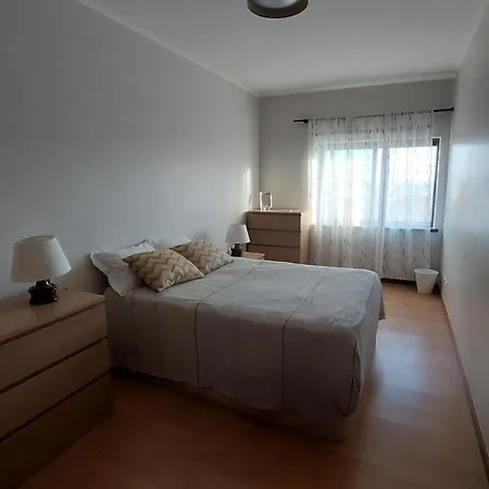 Paim Maria Ponta Delgada (Sao Miguel)